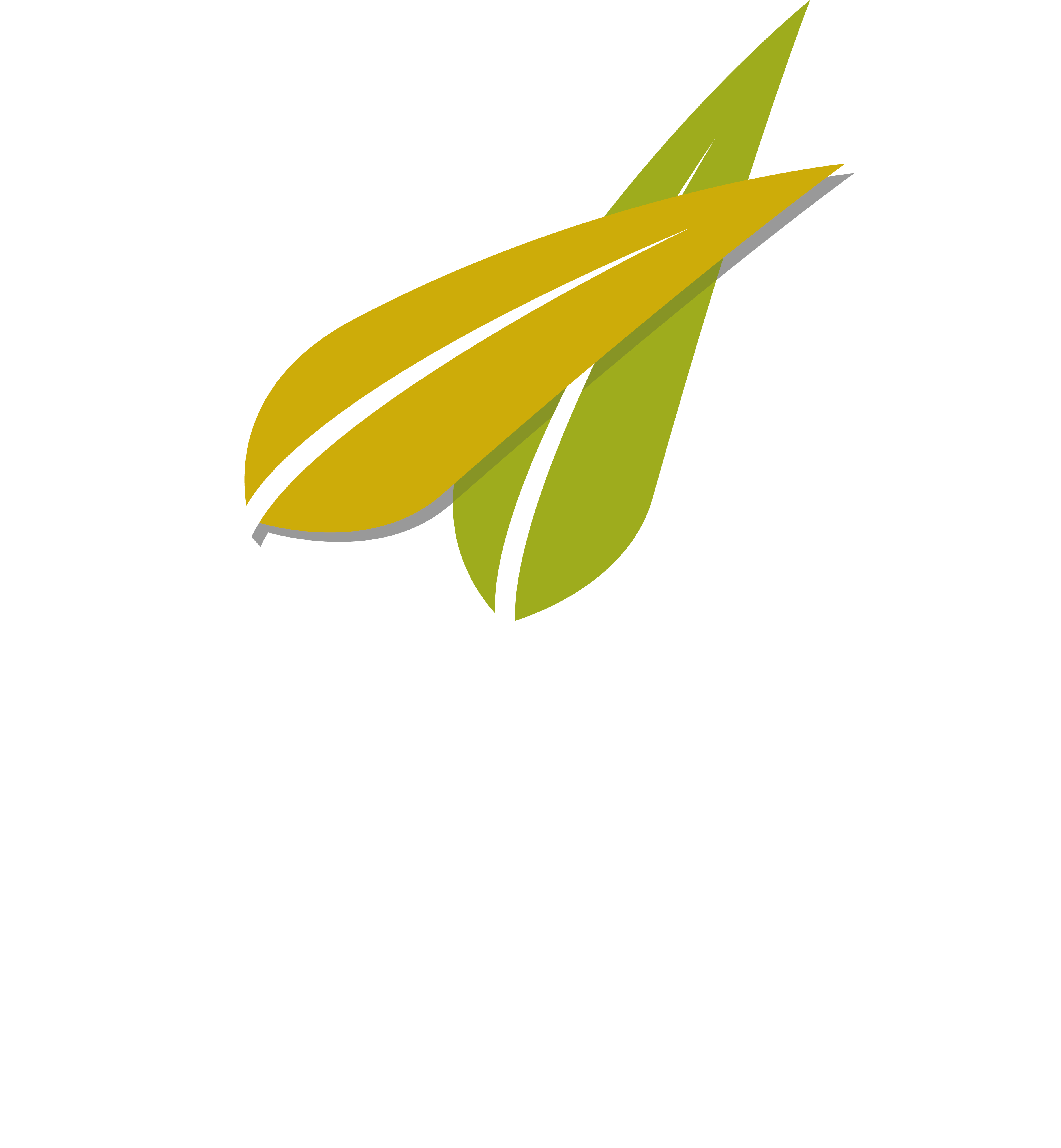 Hera Restorant Logo
